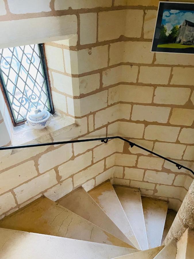 Chateau De Re Le Petit-Pressigny ภายนอก รูปภาพ